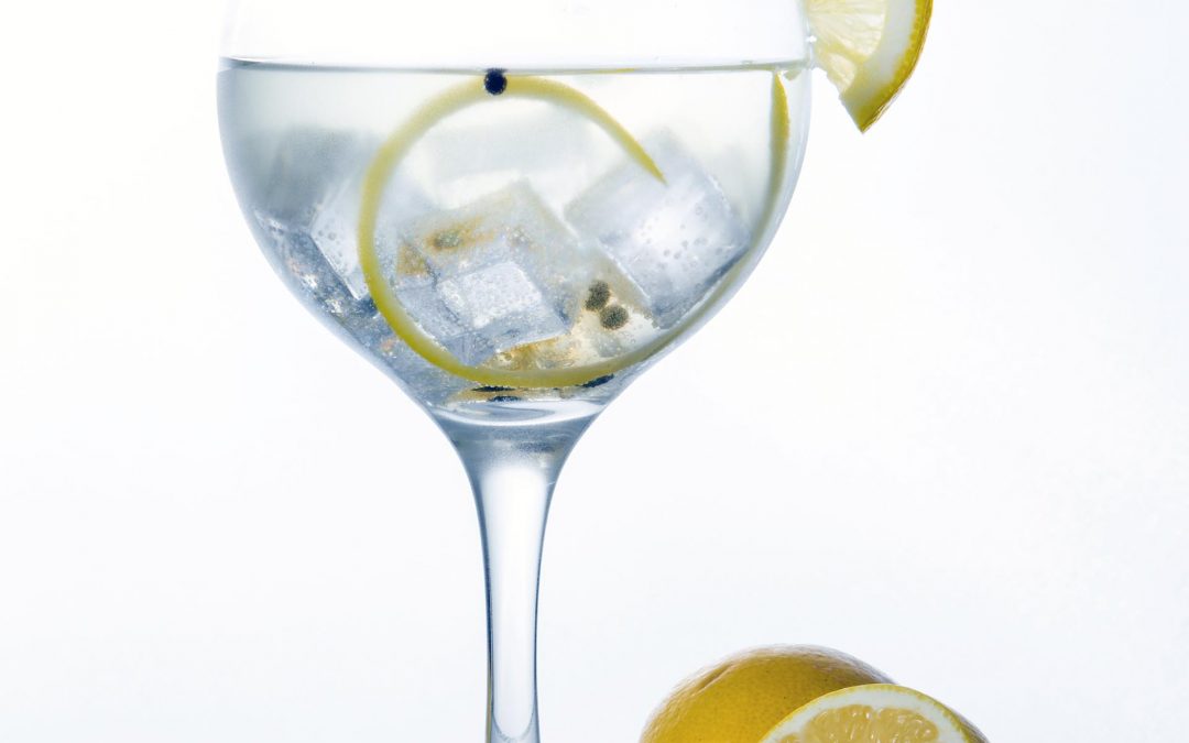 Como preparar un gin tonic profesional